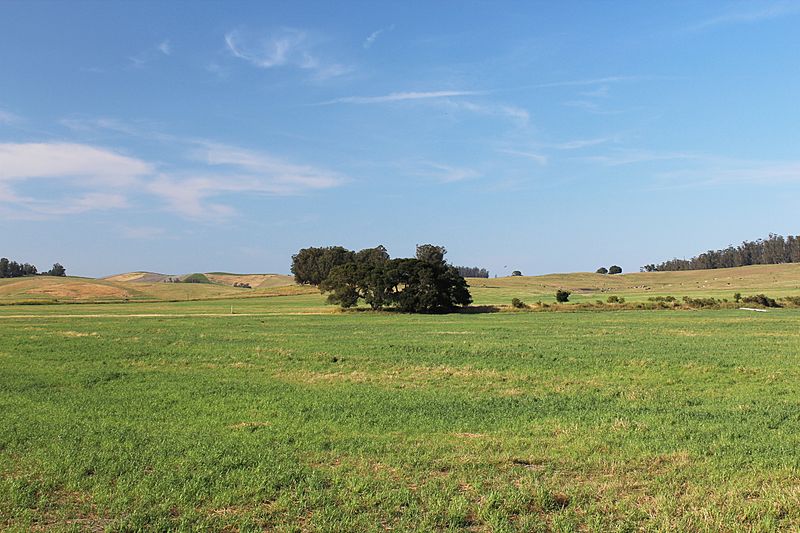 RanchoRoblardelaMiseria-on-PepperRdnearMecham