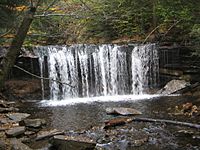  A front-on view of a wide falls. The stream falls as a curtain of water into a plunge pool. It is autumn, with leaves in various stages of color on the trees; some are green and others are orange or yellow.