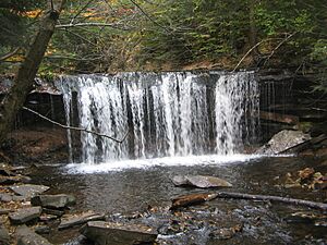 Ricketts Glen State Park Oneida Falls 1