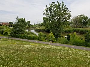 Rivière Saint-Jacques (Brossard, parc Radisson)-2018-06-27