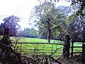 Rowton Moor
