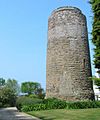 Rozel mill Jersey