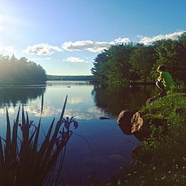 Sheldrake Lake.jpg