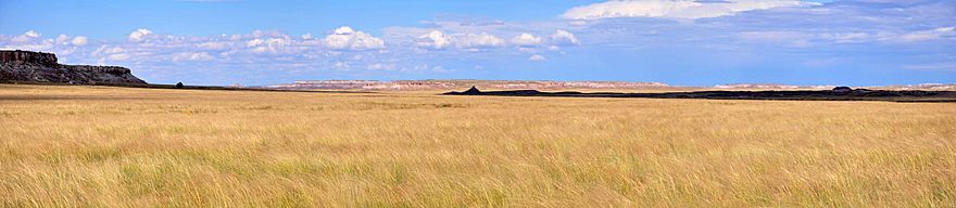 Panorama of prairie covered with short brown and yellow grasses. Hills rise in the distance, and a large cloud shadow darkens a small part of the prairie.