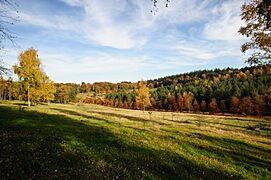 Soest, Netherlands - autumn landscape 2015 (22743688092)