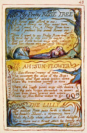 Songs of Innocence and of Experience, copy AA, 1826 (The Fitzwilliam Museum) object 43 My Pretty Rose Tree