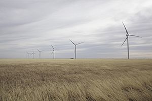 Wind farm near South Plains