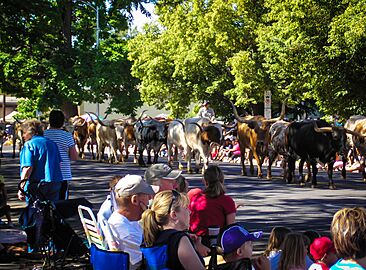 Photo of the Greeley Stampede Parade in Weld County, Colorado
