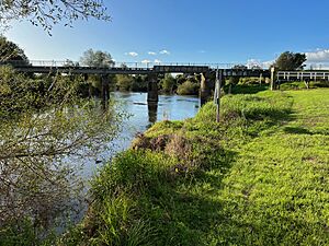 Te Aroha Railway Bridge