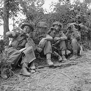 The British Army in Italy 1944 NA18394.jpg