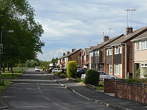 The Downs, Silverdale - geograph.org.uk - 1323336