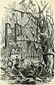 The soldier in our Civil War - a pictorial history of the conflict, 1861-1865, illustrating the valor of the soldier as displayed on the battle-field, from sketches drawn by Forbes, Waud, Taylor, (14762949575)