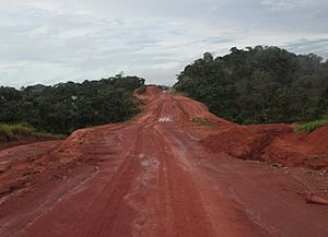 Tranzamazonian Highway