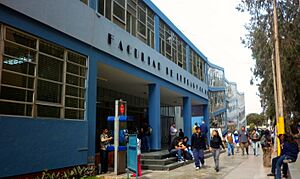 UNMSM Facultad de Letras y Ciencias Humanas
