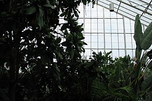 Uofipslconservatory