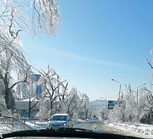 Vladivostok icestorm aftermath 1