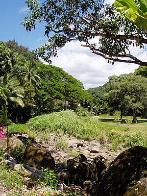 Waimea Valley Audubon Center - general view