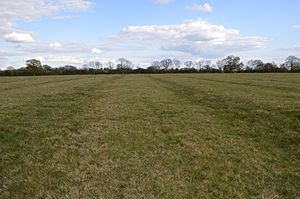 Wendlebury Meads ridge and furrow 1.JPG
