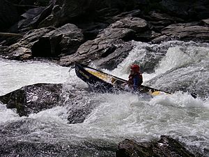 Whitewater canoeing on the Chattooga River