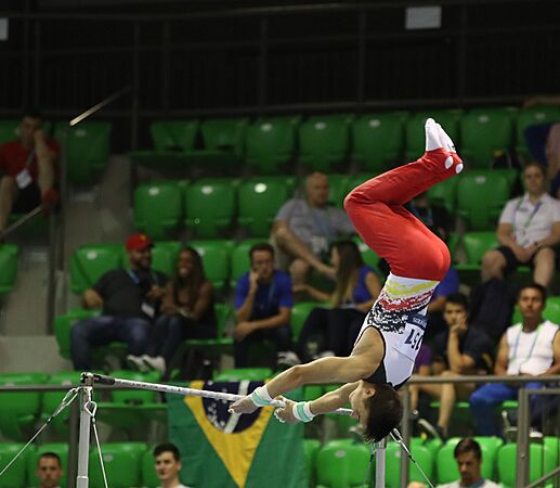 2019-06-27 1st FIG Artistic Gymnastics JWCH Men's All-around competition Subdivision 4 Horizontal bar (Martin Rulsch) 224