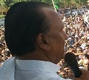 AddressingRally (cropped)