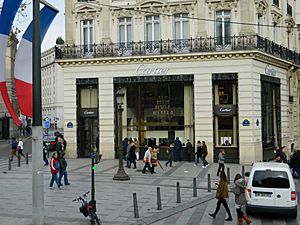 Avenue des Champs-Élysées, November 2012 n1