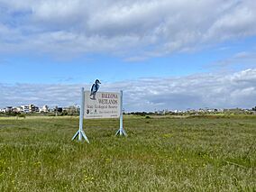 Ballona place where there is water 2023 spring 05.jpg