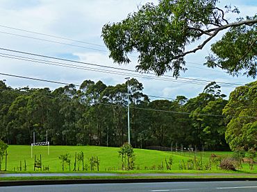 Bicentennial Park, from Yanko Road, West Pymble, New South Wales (2011-06-15).jpg
