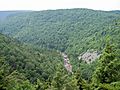 Blackwater River Canyon West Virginia