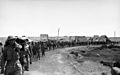 Bundesarchiv Bild 101I-785-0294-32A, Tobruk, englische Kriegsgefangene