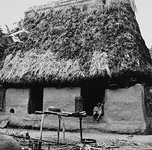 COLLECTIE TROPENMUSEUM Een traditioneel Igbo huis in de provincie Anambra TMnr 20016872