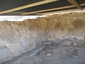 Dainzu Archaeological Site- stone collection with roof