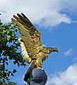 Eagle on Royal Air Force Memorial, London - geograph.org.uk - 1409640.jpg