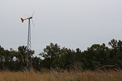Eastern-neck-windmill