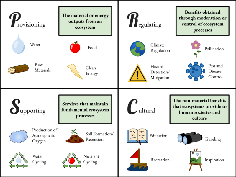Ecosystem Services