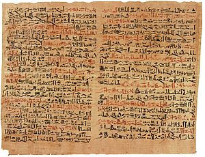 Edwin Smith Papyrus v2