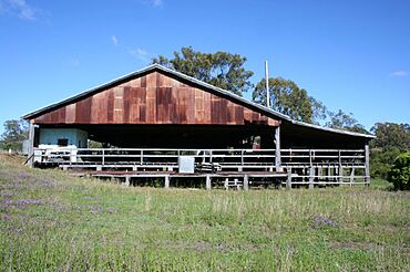 Elgin Vale Sawmill from SE (2008).jpg