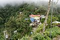 Fog hangs over the village of Section in the Blue Mountains of Portland Parish, Jamaica
