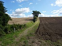 Footpath towards the A1071 - geograph.org.uk - 1474440.jpg