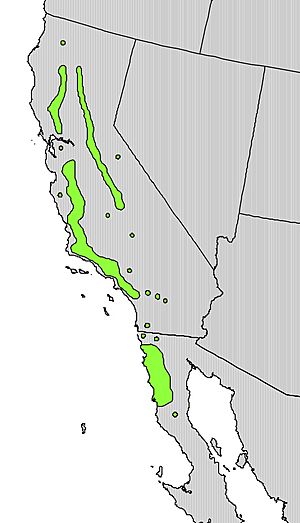 Fraxinus dipetala range map.jpg