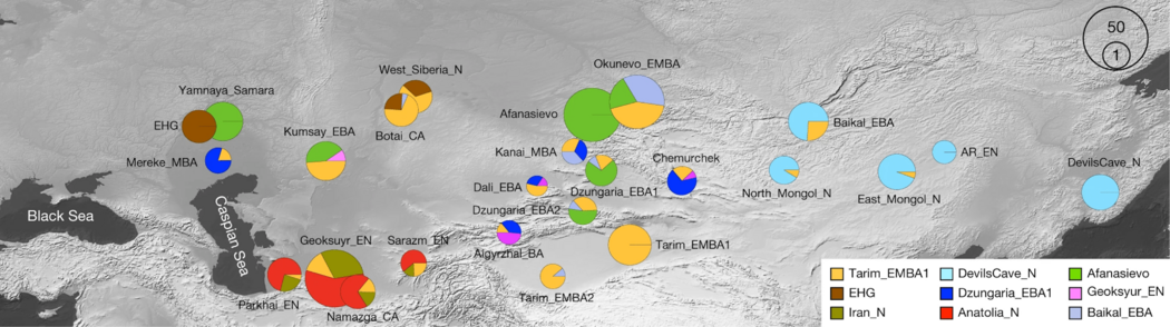 Genetic ancestry and admixture of ancient populations of Eurasia