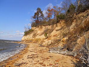 Girl Scouts of the Chesapeake Bay Protect Threatened Puritan Tiger Beetle (14968209691)