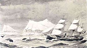 HMS Druid in the Straits of Belleisle.jpg