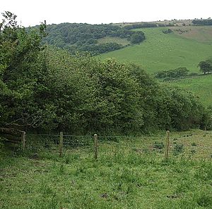 Hedge and fields off Ash Lane - geograph.org.uk - 455295
