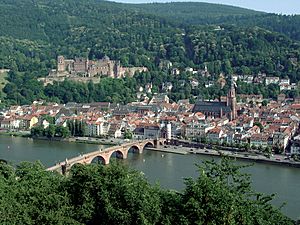 Heidelberg corr.jpg