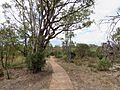 Heritage Trails, Wireless Hill, April 2021 01