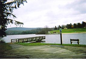 Hills Creek Swimming Area and Boat Launch.jpg