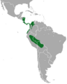 Hoffmann's Two-toed Sloth area