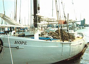 Hope With Oyster Shell.jpg