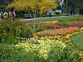 Huntington Lib Flowers